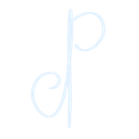 Noireplume logo